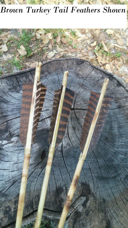 River Cane Arrows - Image 3