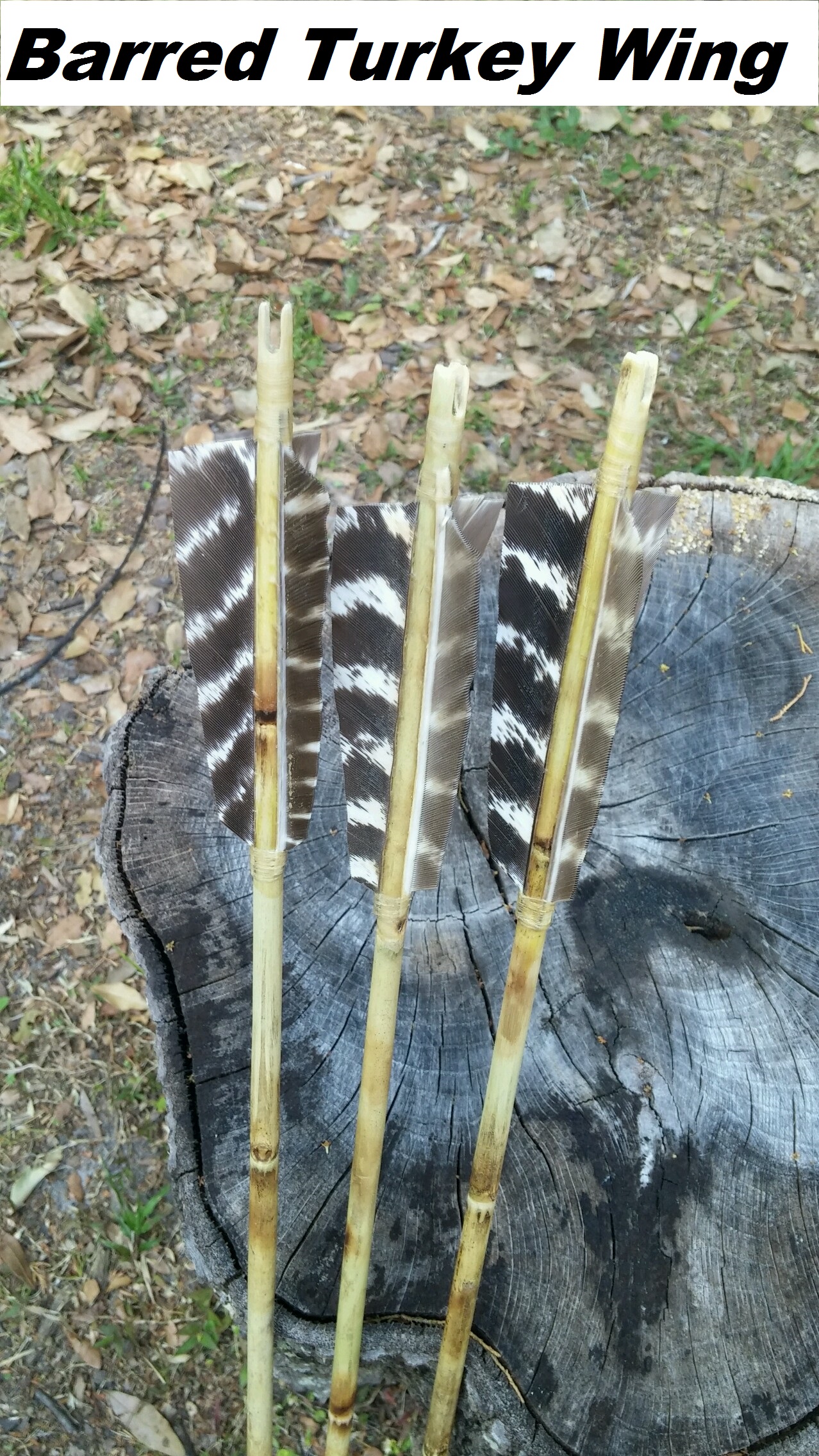 Archery Arrow Fletches Feathers 5" Turkey Natural Fletching Right Wings DIY Hunt