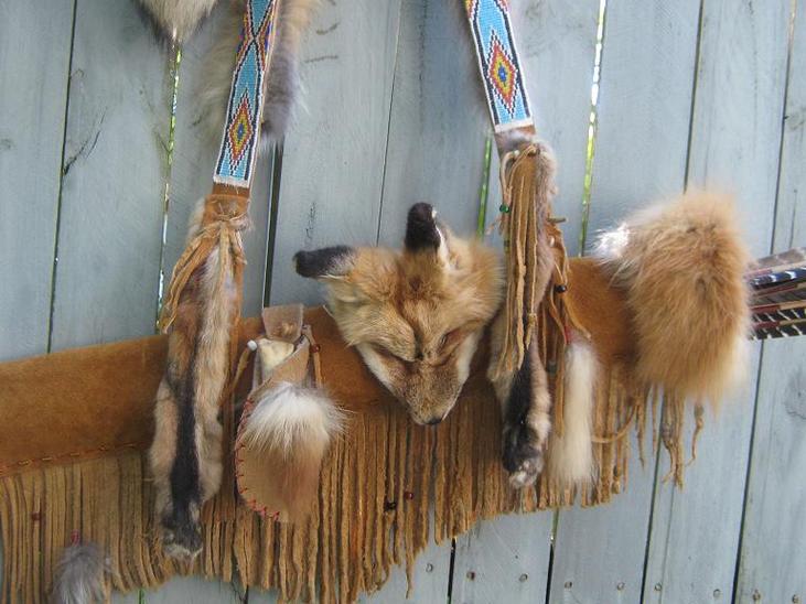 cat tail quiver