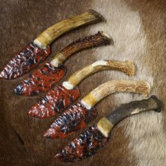 Stone knife on Antler Pedicle