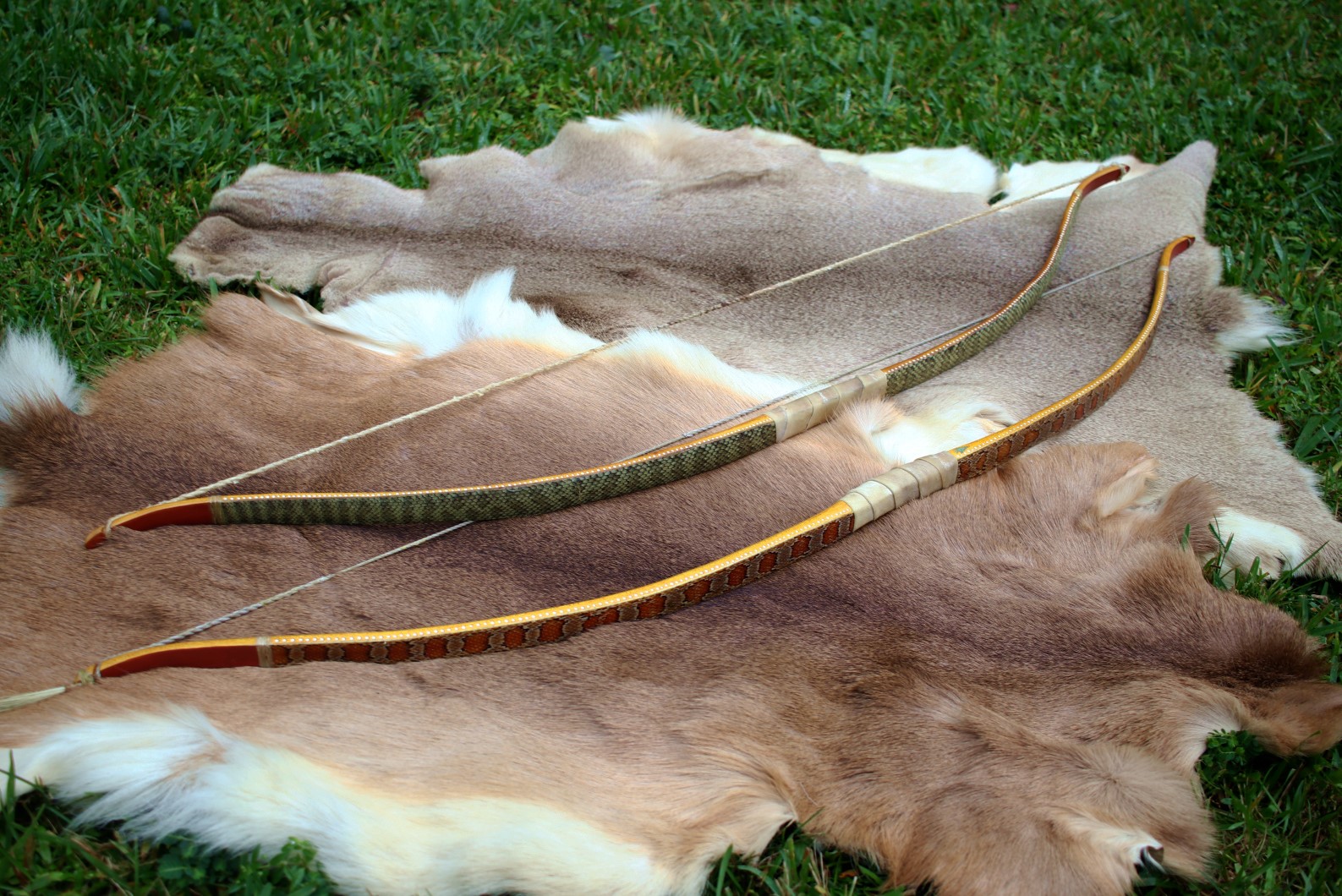 horse bow and quiver