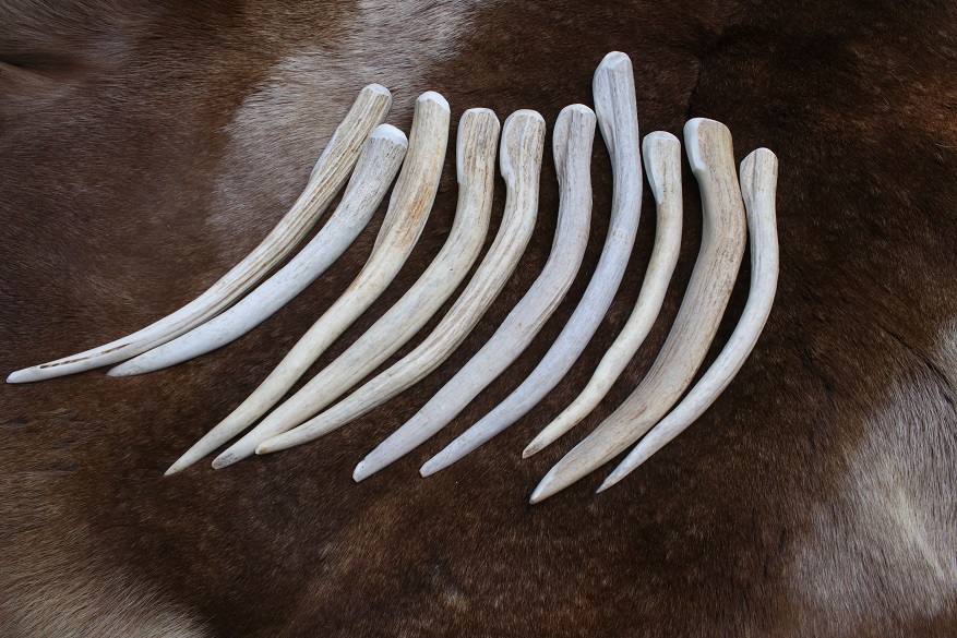 Large Antler Billet