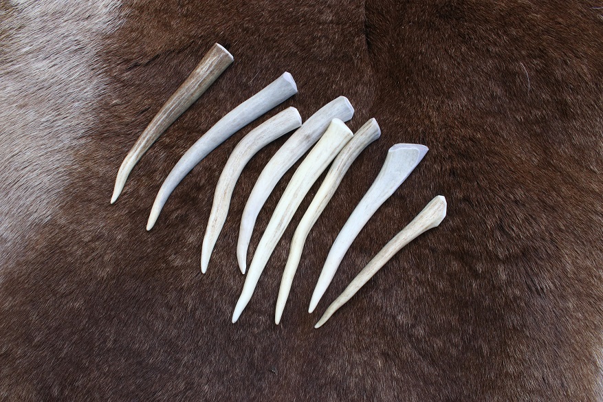 Small Axis Deer Tine Billet Flintknapping Tool – Native Way Online