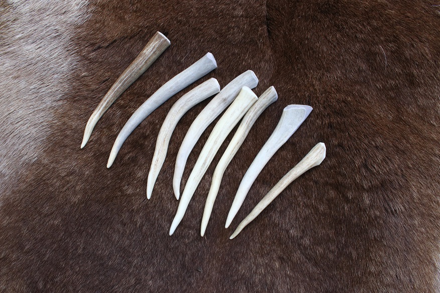 Extra Small Antler Billet - Flint Knapping Tools & Supplies