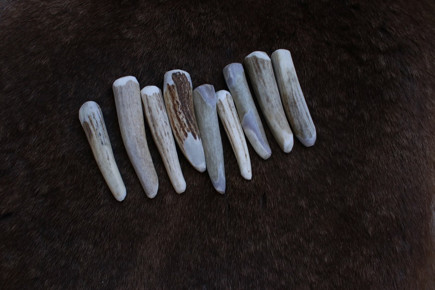 Antler Billet Knap Pack - Abo Tools for Flint Knapping Arrowheads and  Blades