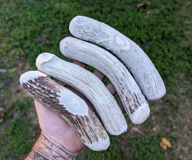 Large Whitetail Billets (limited supply)