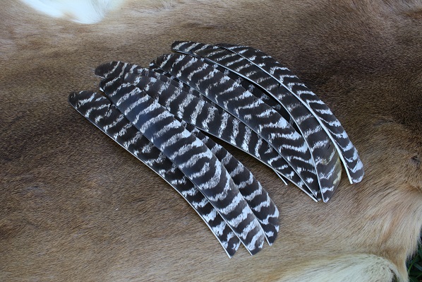 Turkey Wing Feathers Cut Tops USA All Natural 11 per Fletching Feathers 