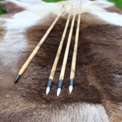 Details about   3X32Inch Bowfishing Arrows/Hunting Fish Arrow Without Fletch for Compound Bow 