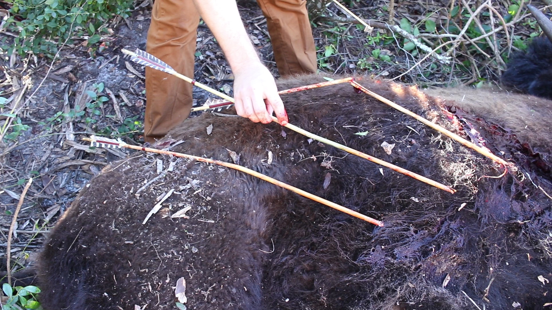 Ryan Gill Collecting Data from kill arrows