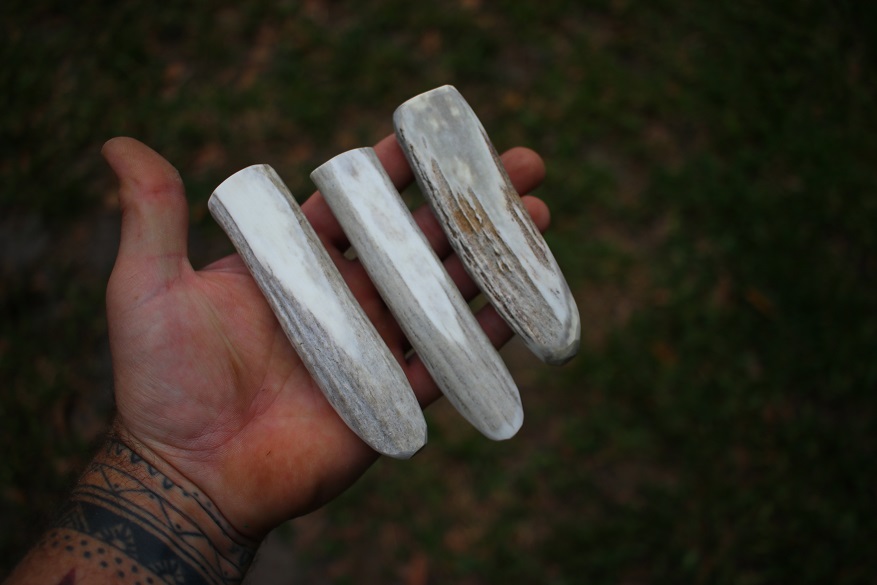 Extra Small Antler Billet - Flint Knapping Tools & Supplies