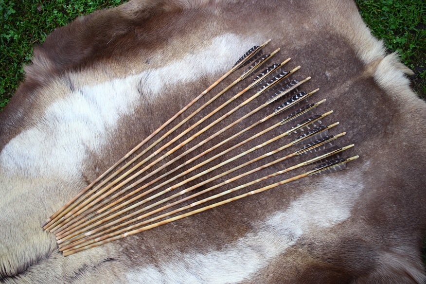 Standard bamboo arrows