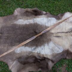 HT Primitive Spalted Maple Backed Osage 56# @ 28"