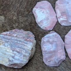 KnapEasy of the Month