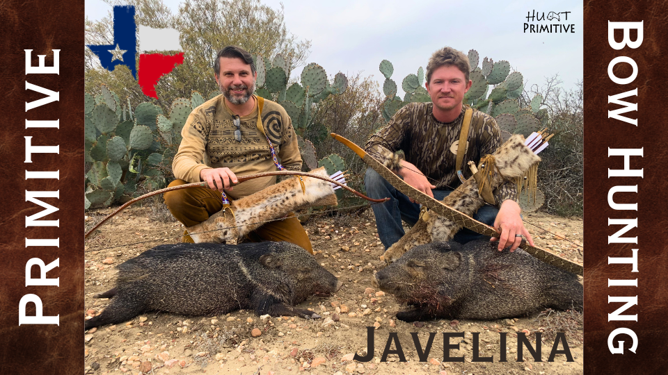 Javelina