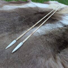 Primitive Fishing Arrows