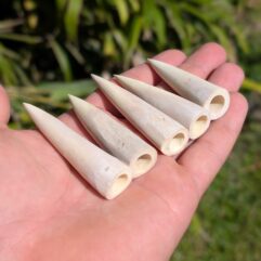 Antler Conical Fishing/Small Game Points