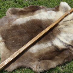 #1 Osage Stave 67" long