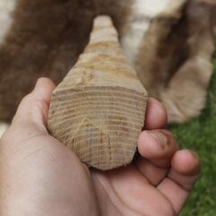 SOLD #2 Osage Stave 54" long