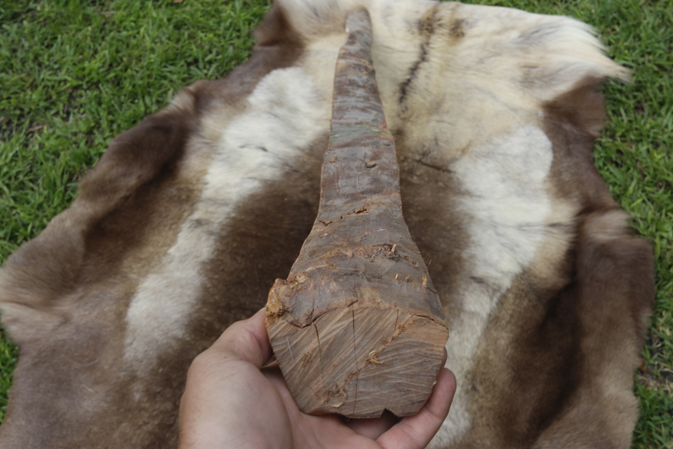 #6 Yew Stave 64" long