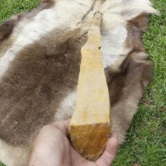 #7 Osage Stave 67" long