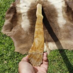 #8 Osage Stave 67" long