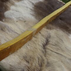 SOLD #10 Osage Stave 71" long