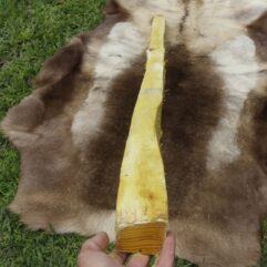#11 Osage Stave 71" long