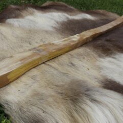 #14 Osage Stave 59.5" Long