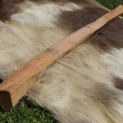 #15 Osage Stave 66" long