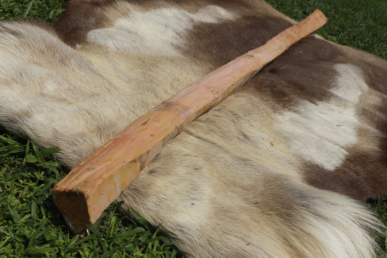 #15 Osage Stave 66" long