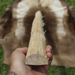 #16 Hickory Stave 66" long