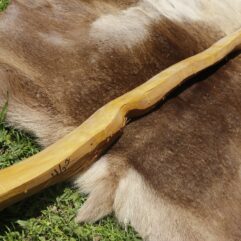 #19 Osage Stave 67" long