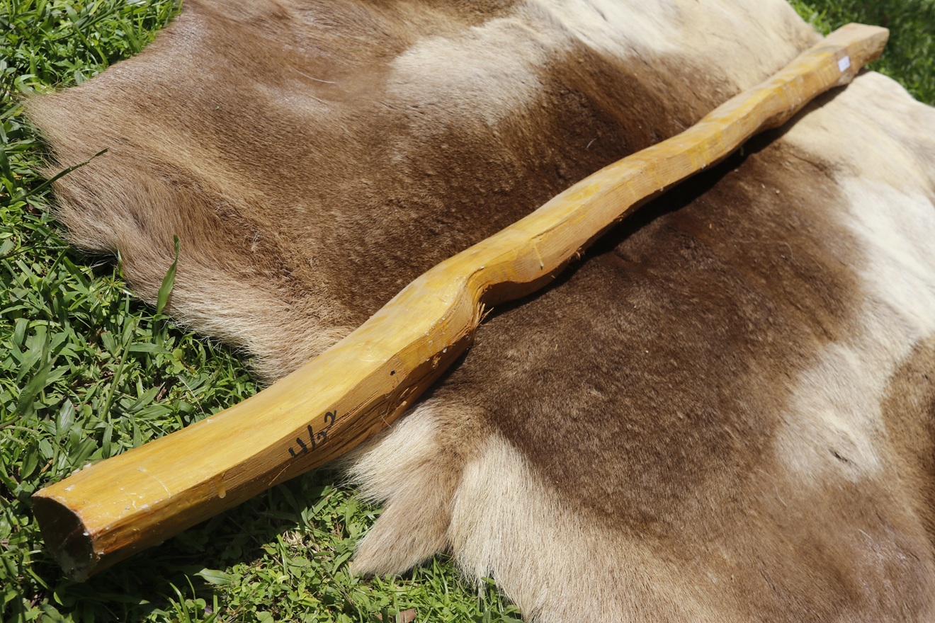 #19 Osage Stave 67" long