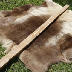 SOLD #21 Hickory Stave 72" long